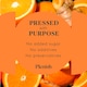 image 3 of Plenish Turmeric Recovery Dosing Bottle 7x Shots 420ml