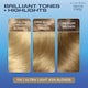 image 2 of Clairol Nice ‘N Easy Ultra Light Ash Blonde 11A Hair Dye