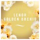 image 3 of Febreze Air Freshener Lenor Gold Orchid Aerosol 300ml