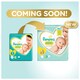 image 2 of Pampers Premium Protection Size 4 Jumbo+ Pack 64 Nappies