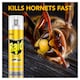 image 2 of Raid Wasp & Hornet 300ml
