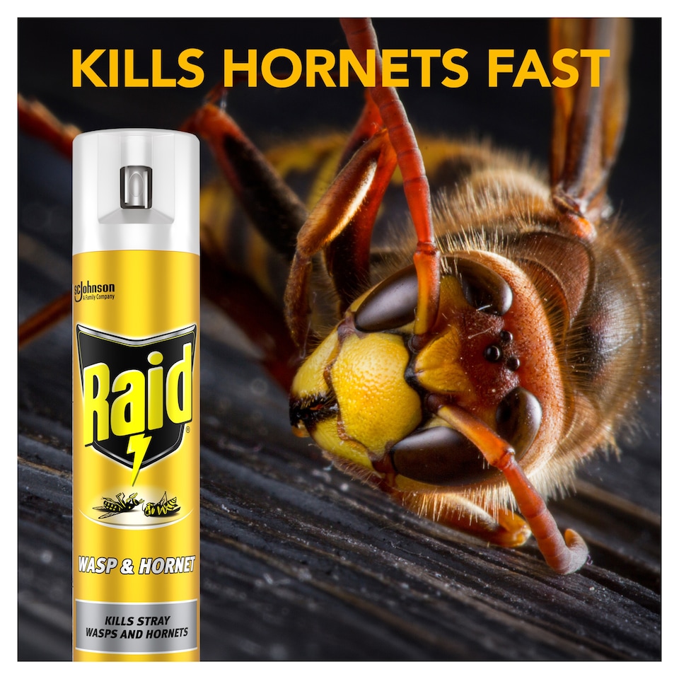 image 1 of Raid Wasp & Hornet 300ml