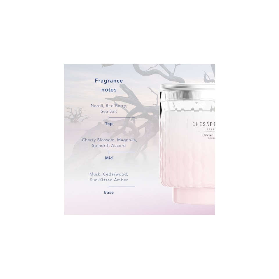 image 1 of Chesapeake Bay Ocean Blossom Small Candle 127g
