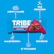 image 4 of TRIBE Energy & Focus Choc Brownie 60g