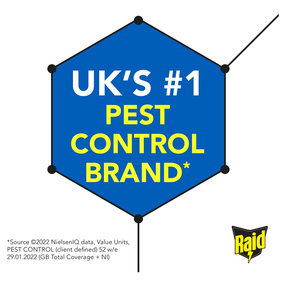 image 1 of Raid Ant & Insect Killer Powder 250g