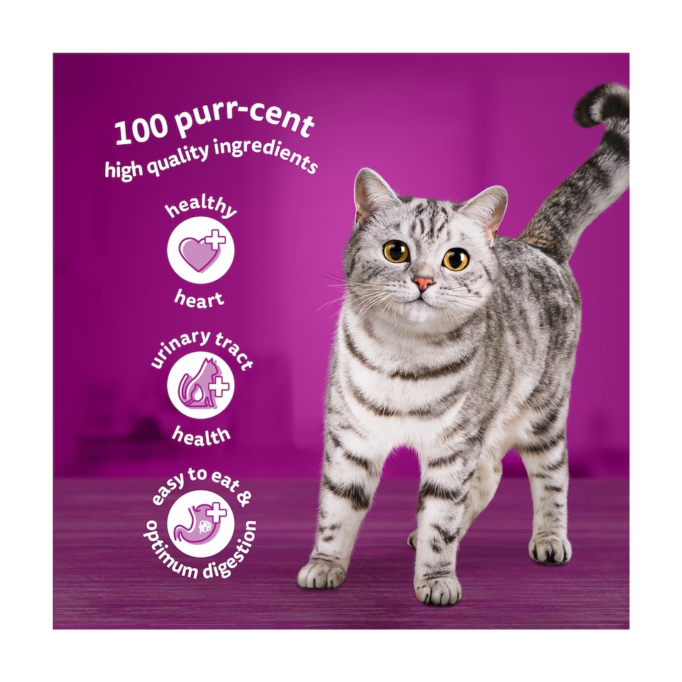 image 1 of Whiskas 11+ Senior Wet Cat Food Fish Favourites in Jelly 12x85g
