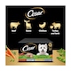 image 4 of Cesar Garden Terrine Wet Dog Food Tray Mixed in Loaf 8x150g