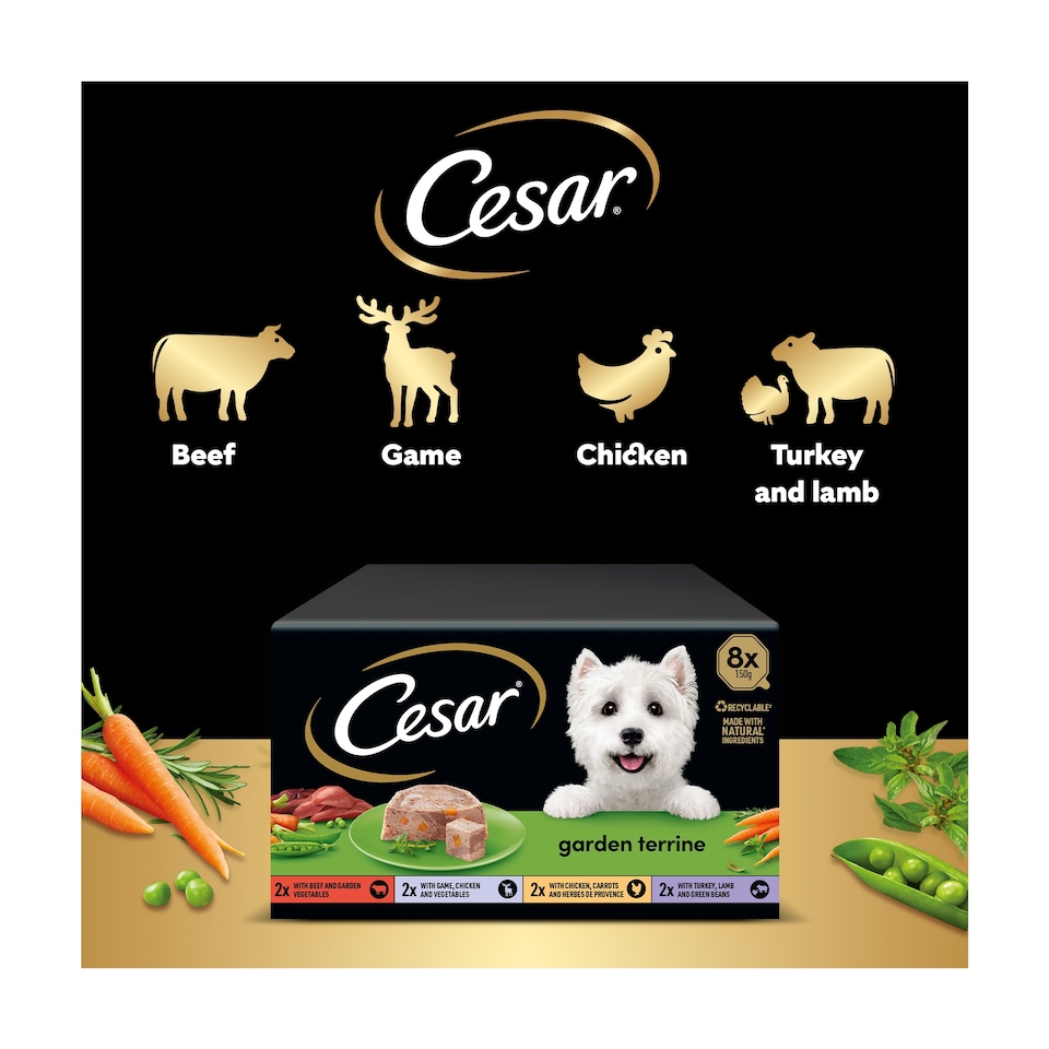image 1 of Cesar Garden Terrine Wet Dog Food Tray Mixed in Loaf 8x150g