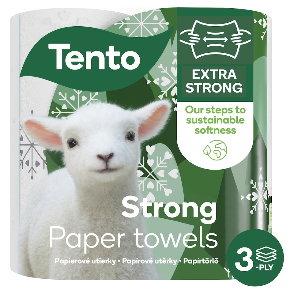 Tento Winter Decor Paper Towels 3 Ply 2 Rolls