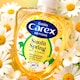 image 4 of CAREX EDITIONS SUNLIT SPRING DAISY & JASMINE HANDWASH 250ML