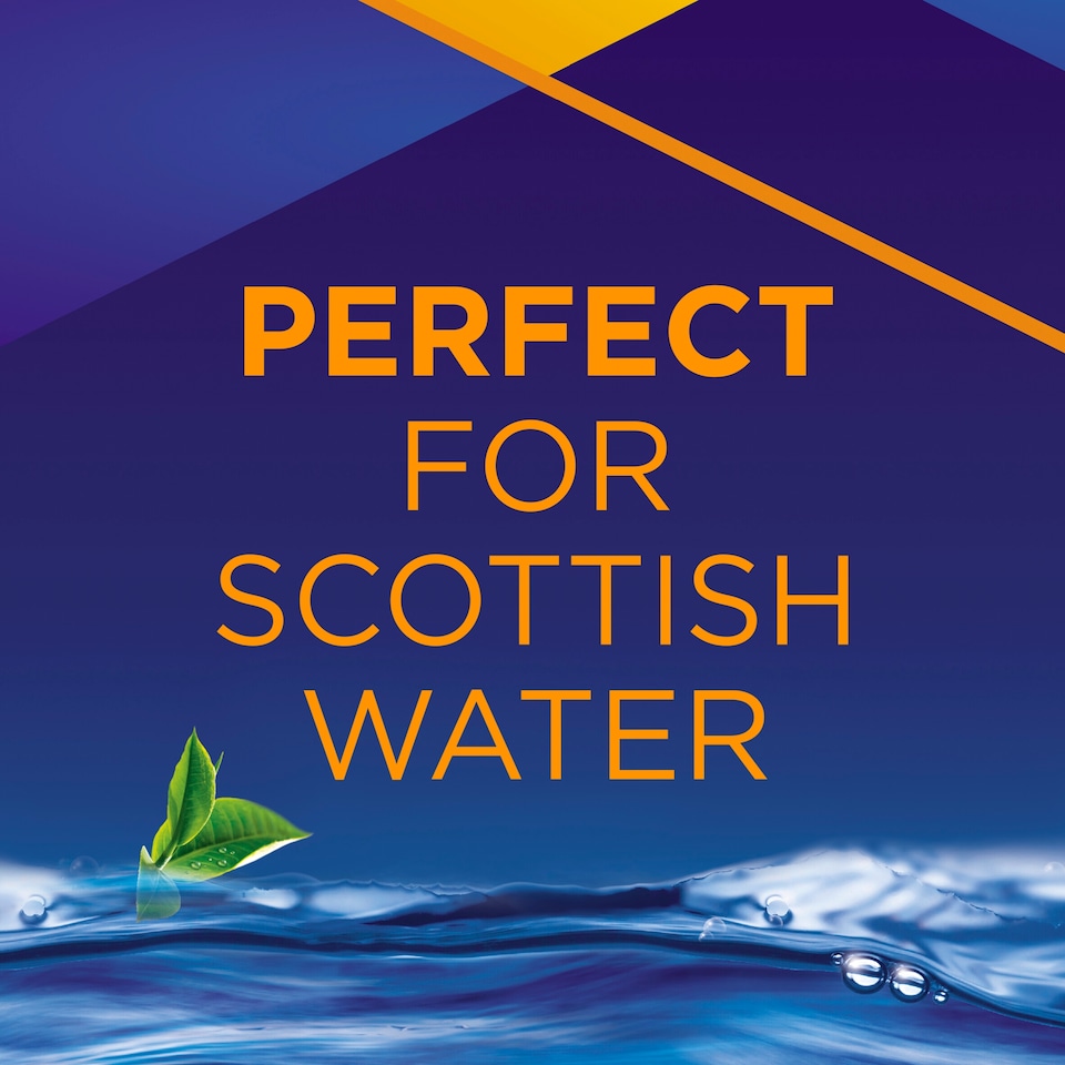 image 1 of Scottish Blend Black Tea Bags 80 Pack 232g