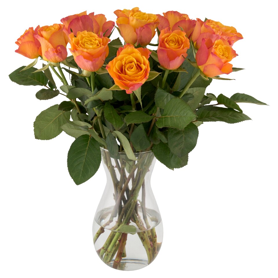 image 1 of The Floral Connection Rose Bouquet Deluxe