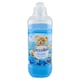 image 2 of Coccolino Fresh Blue Splash Concentrated Fabric Softener 42 Washes 966 ml
