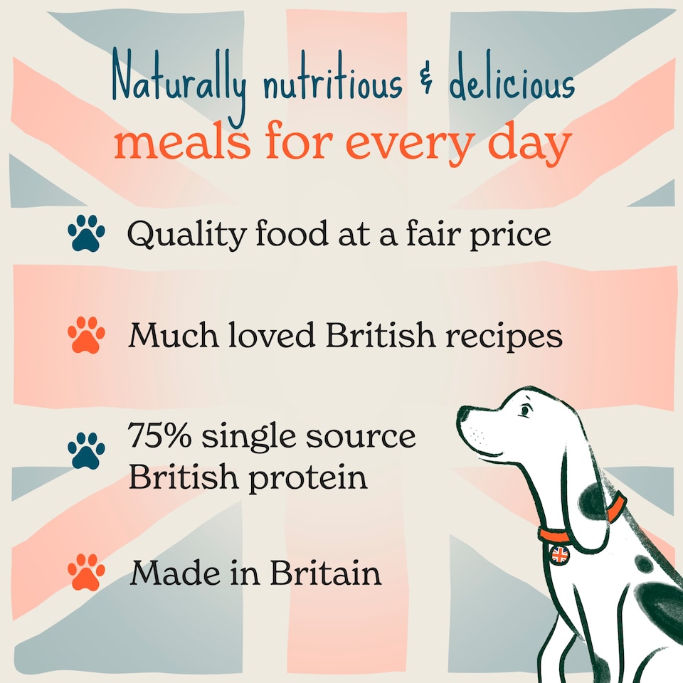 image 1 of Forthglade Grain Free British Classics Lamb Shepherds Pie Adult Dog Food 395g