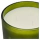 image 2 of F&F Home Apothecary Eucalyptus & Pine Needles Candle 650g