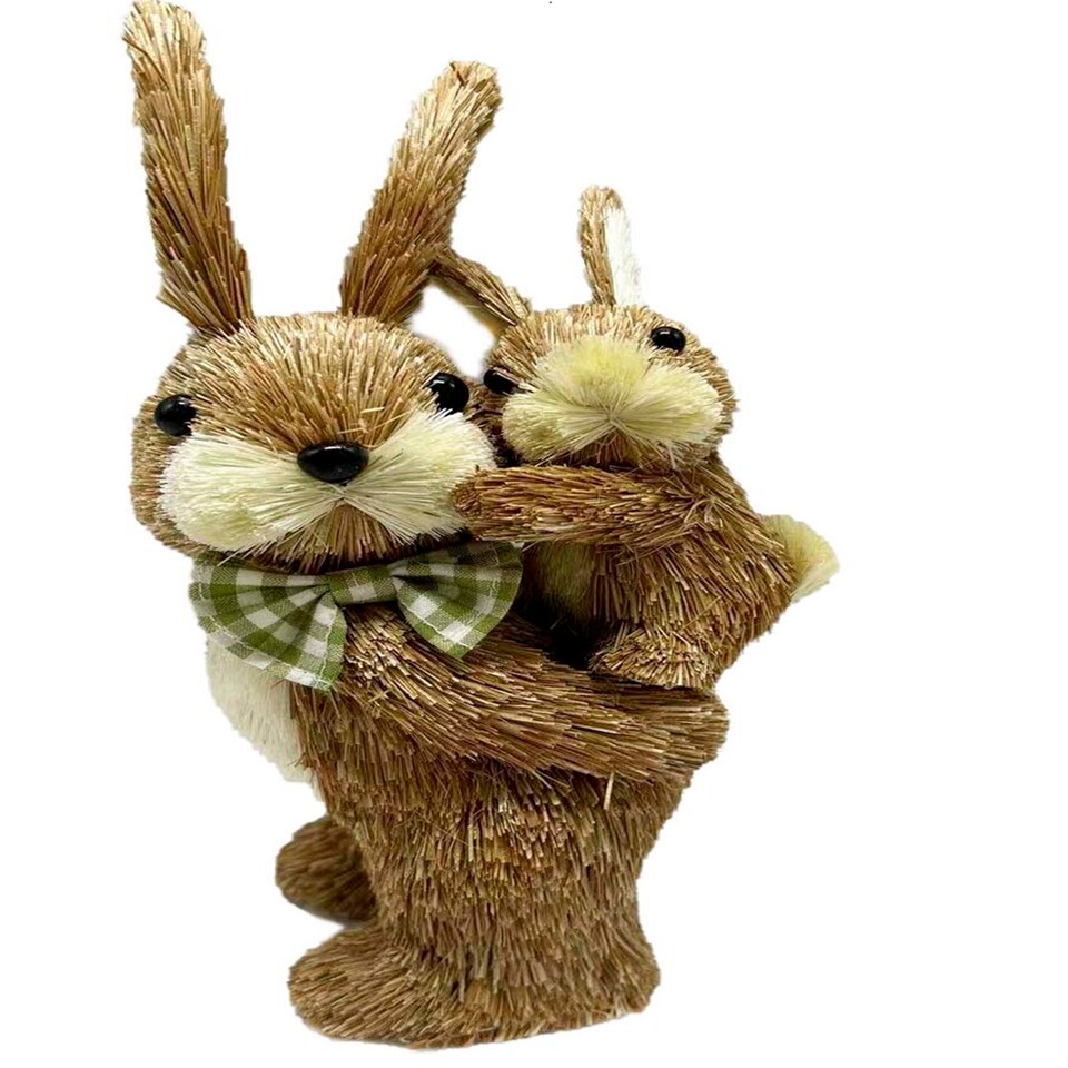 BAYSWOOD BRISTLE BUNNY PAIR
