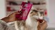 image 2 of Vitakraft Cat Stick Mini Meat Stick with Plaice 18 g