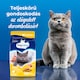 PreVital száraz macskaeledel, macskatáp felnőtt macskáknak csirkével 1,4 kg  4. kép