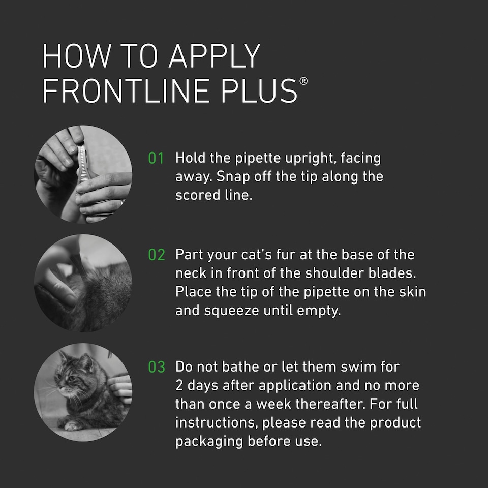 image 1 of Frontline Plus Small Cat Flea & Tick Treatment 3s (P)