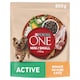 image 1 of Purina ONE Mini Active Granules for Dogs Chicken 800g