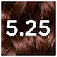 image 2 of Garnier Nutrisse 5.25 Ultra Frosted Chesnut Brown Permanent Hair Dye
