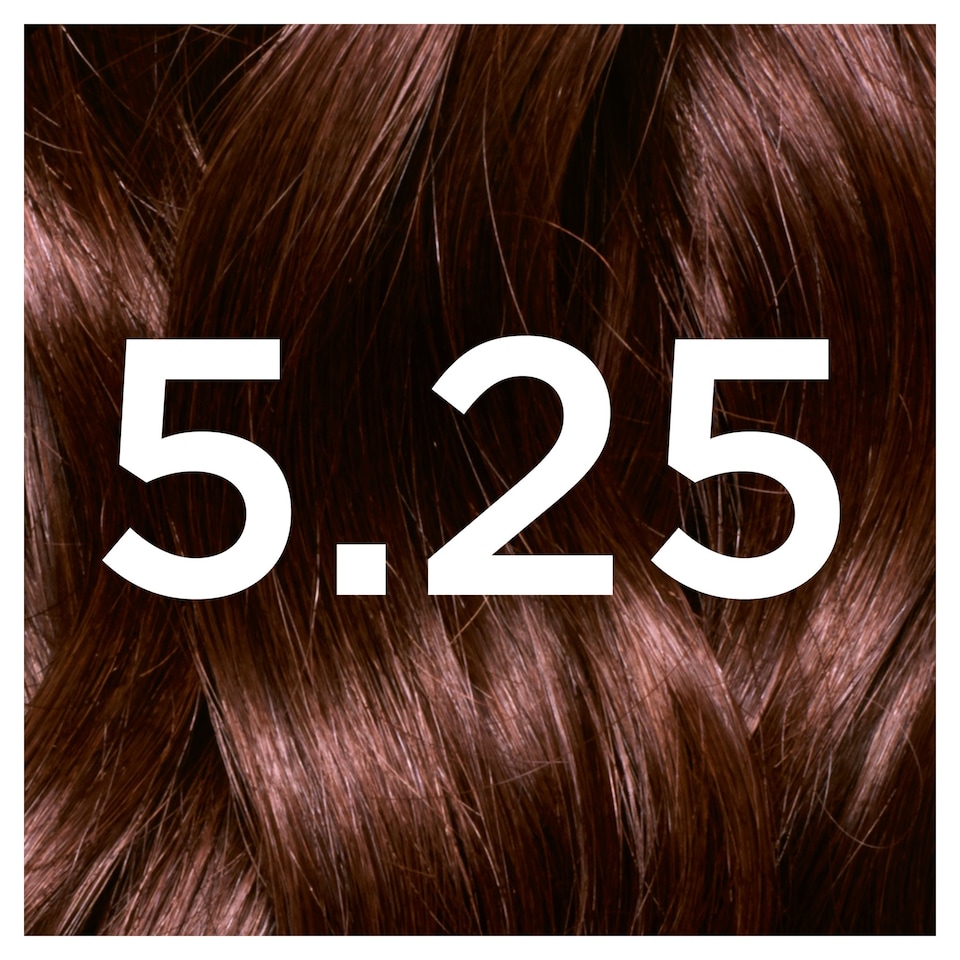 image 1 of Garnier Nutrisse 5.25 Ultra Frosted Chesnut Brown Permanent Hair Dye