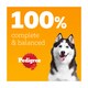 image 4 of PEDIGREE Protein plus Adult Wet Dog Food Pouches Mixed Selection in Jelly 12x85g