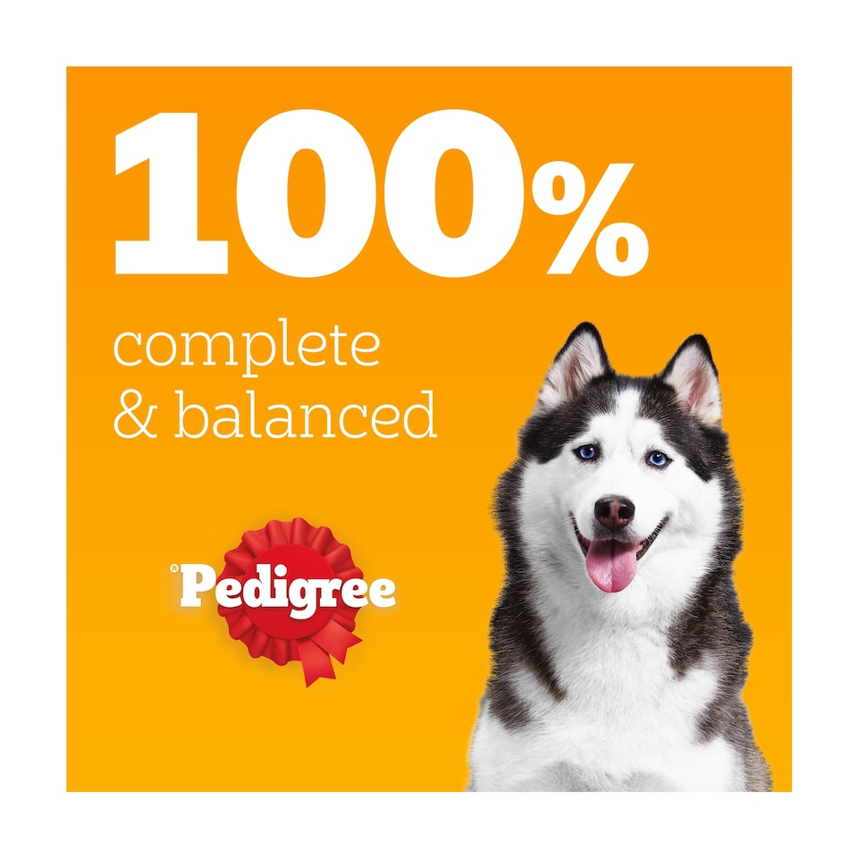 image 1 of PEDIGREE Protein plus Adult Wet Dog Food Pouches Mixed Selection in Jelly 12x85g