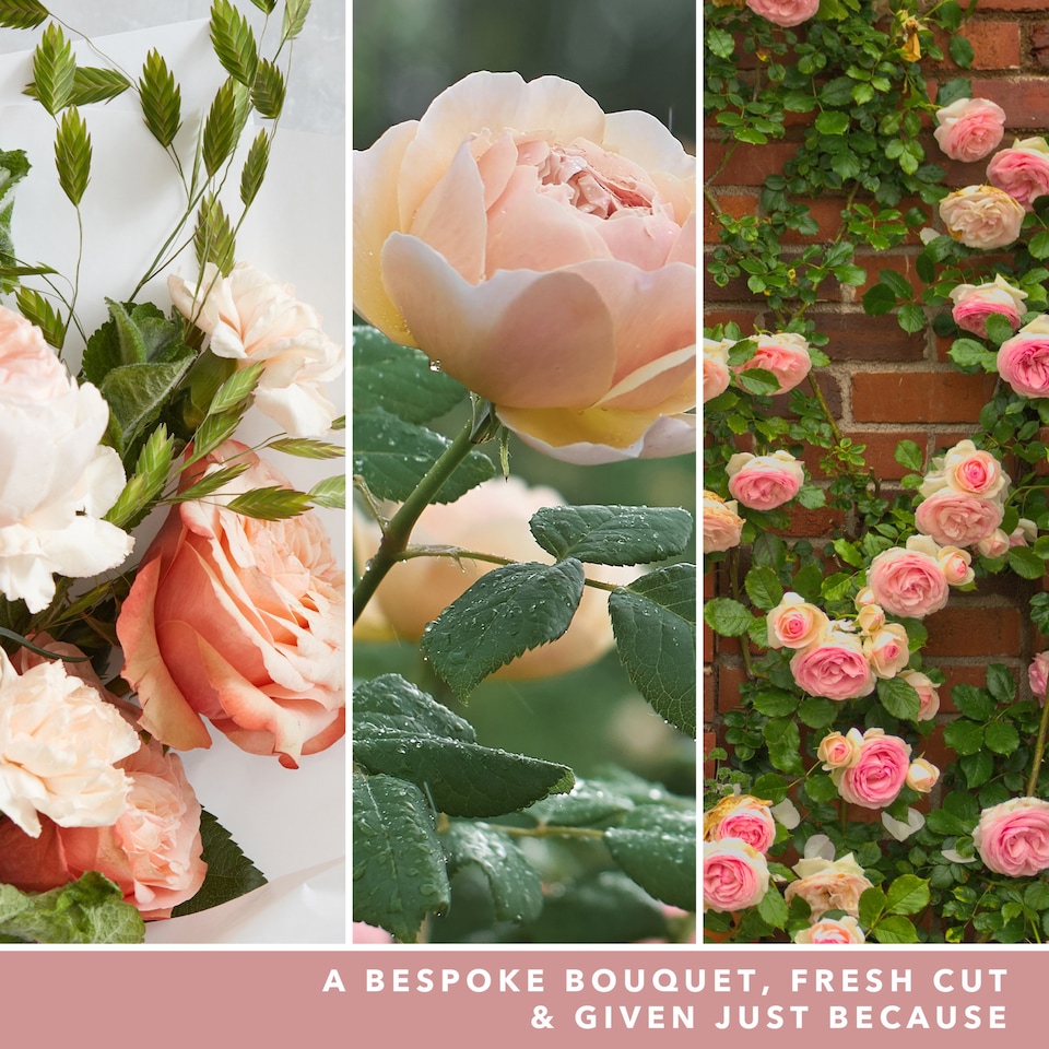 image 1 of Yankee Fresh Cut Roses Filled Votive 37g