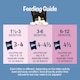 image 3 of FELIX ORIGINAL Kitten Mixed Selection in Jelly 40x85g