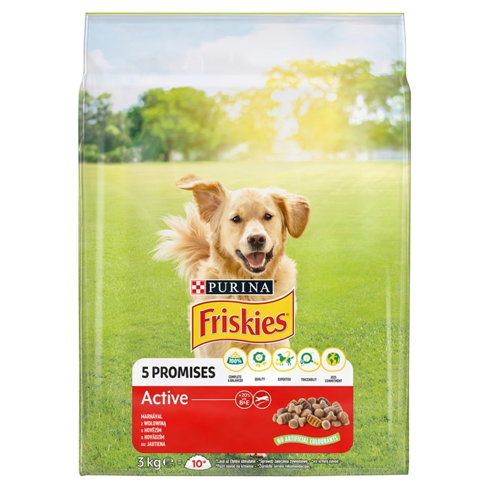 image 1 of Purina Friskies Active Dry Dog Food with Beef 3 kg