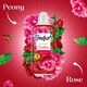 image 2 of Comfort Creations Peony & Rose Conditioner 48 Washes 1440Ml