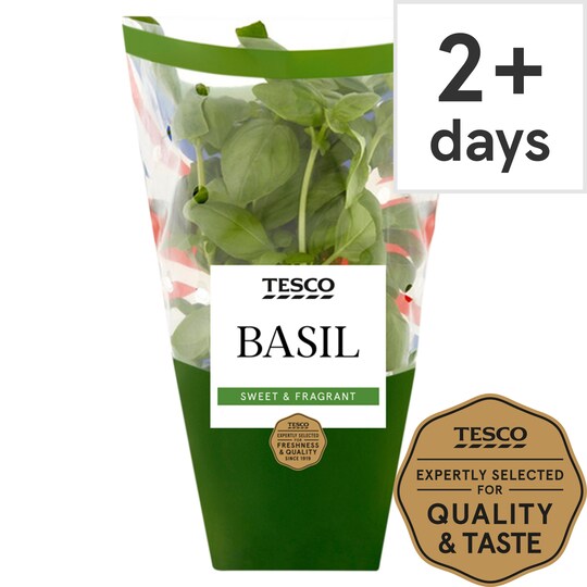 Tesco Medium Pot Basil Tesco Groceries