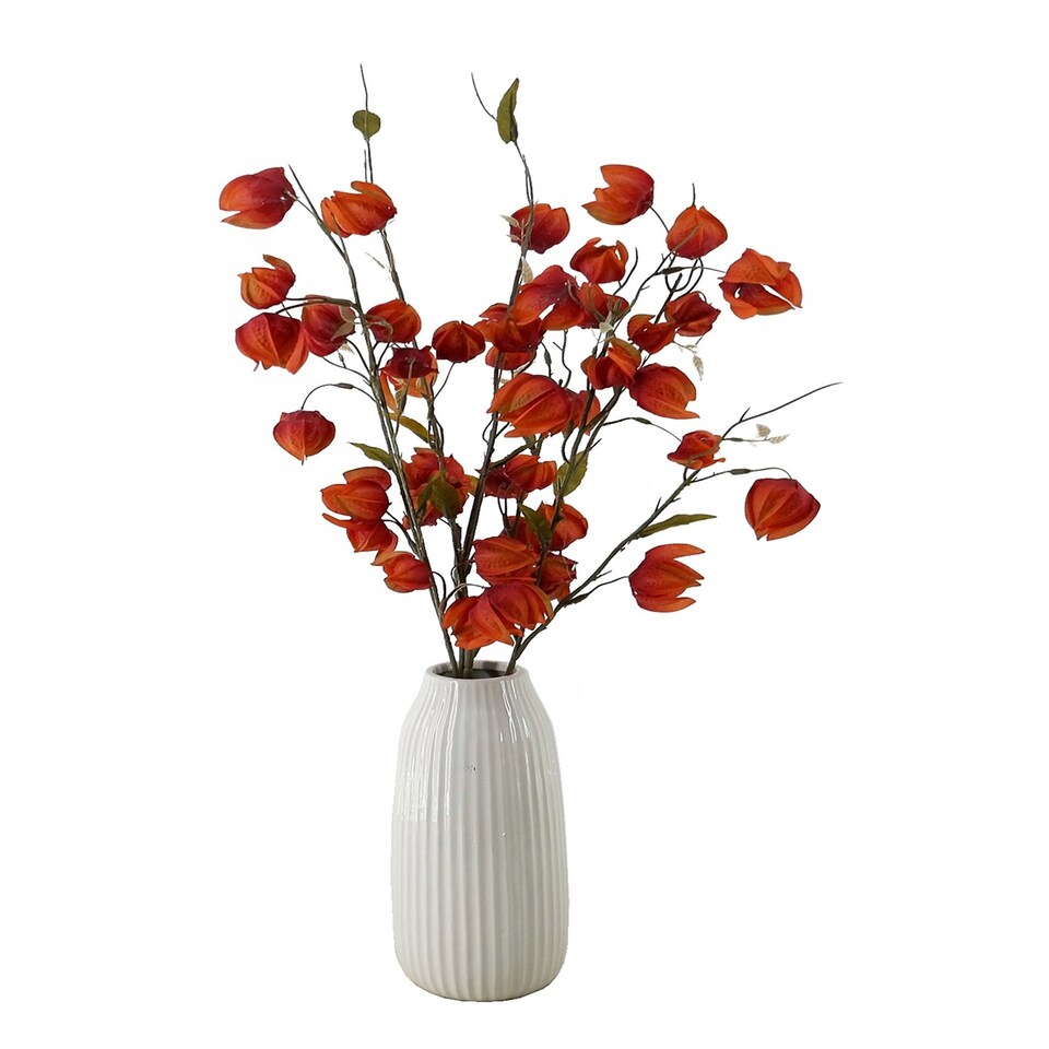 Bayswood Artifcl Chinese Lantern Stem