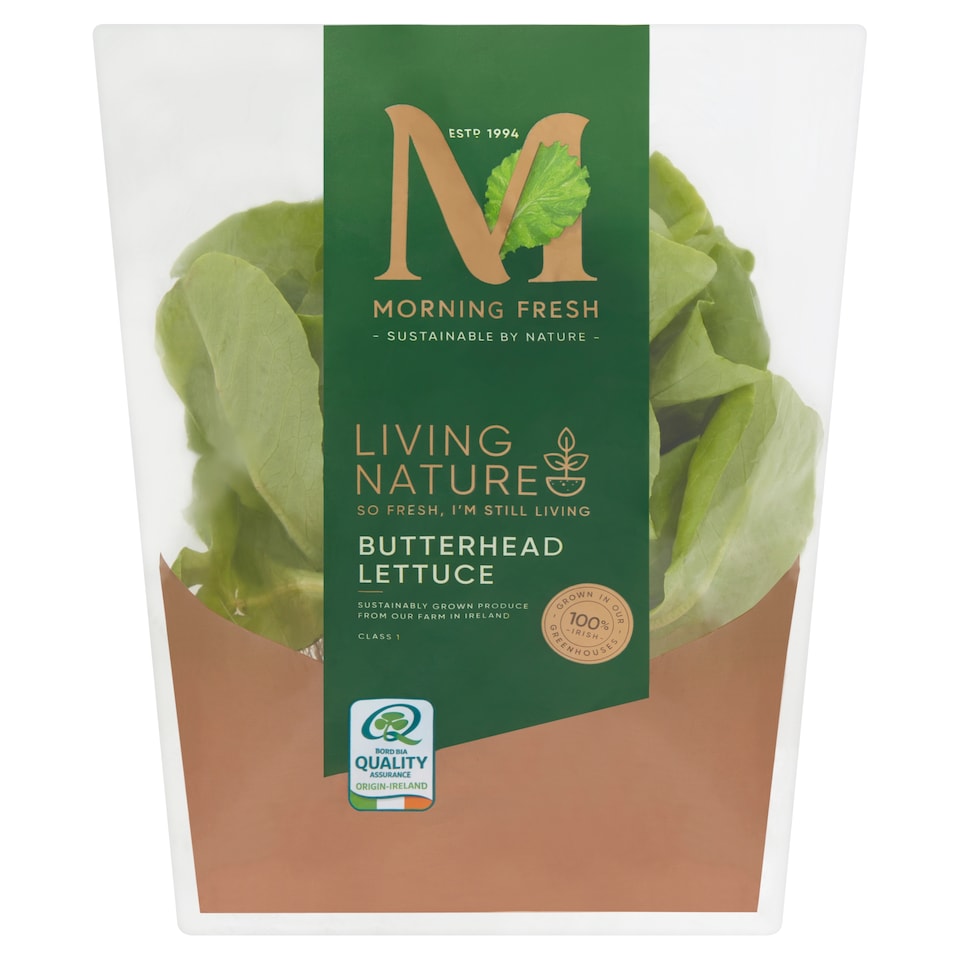 Morning Fresh Living Nature Butterhead Lettuce