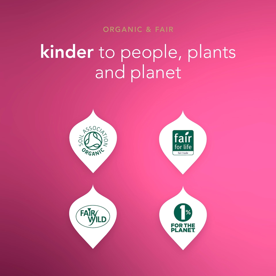 image 1 of Pukka Organic Morning Berry 20 Tea Bags 34G