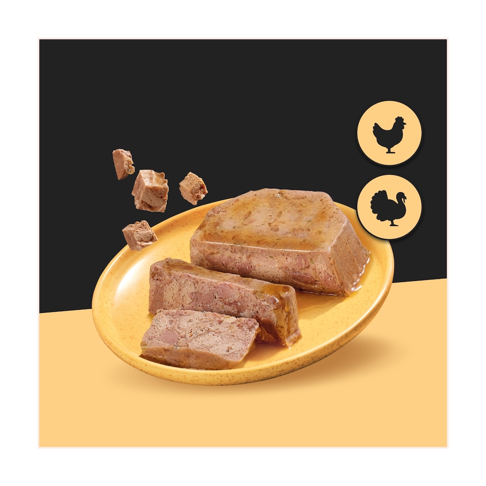image 1 of Cesar Classic Terrine Chicken & Turkey Dog Food 150G