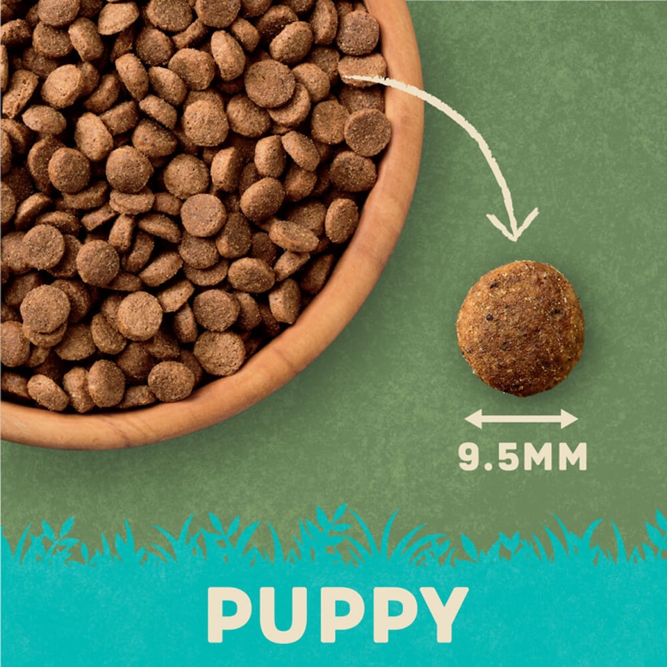 image 1 of Harringtons Puppy Turkey & Rice 1.7Kg