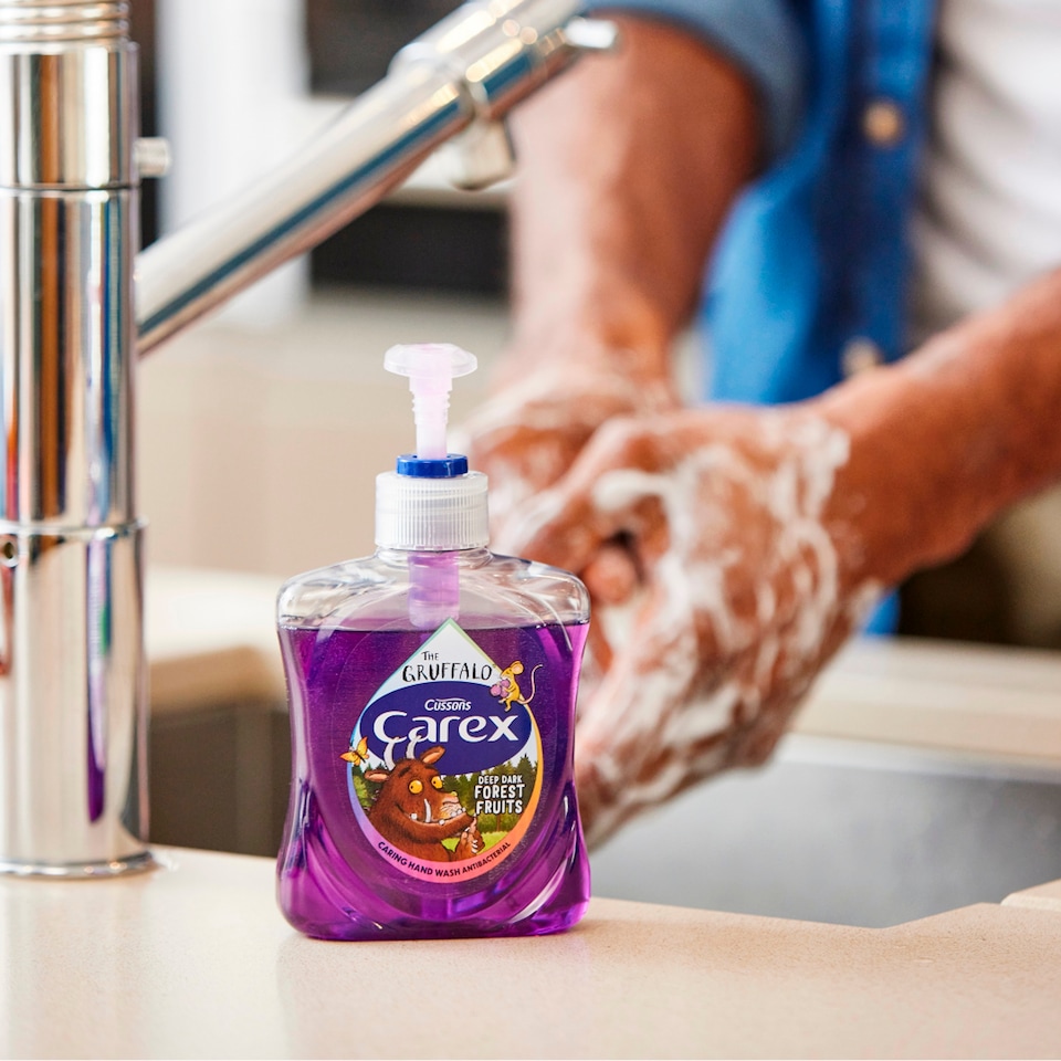 image 1 of Carex Gruffalo Deep Dark Forest Fruits Handwash 250ml