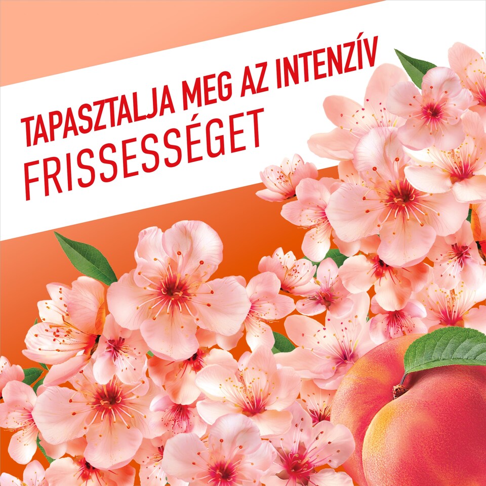 Ajax Fête des Fleurs Barackvirág általános felülettisztítószer 1000 ml  1. kép