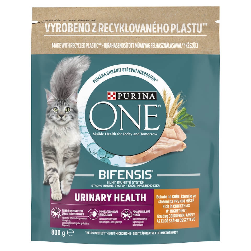 Purina One Coat & Hairball Urinary Care Complete Pet Food for Adult Cats with Chicken 800 g