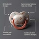 image 3 of TOMMEE TIPPEE ULTIMATE FIT ORTHODONTIC SILICONE 18-36M 2 SOOTHERS