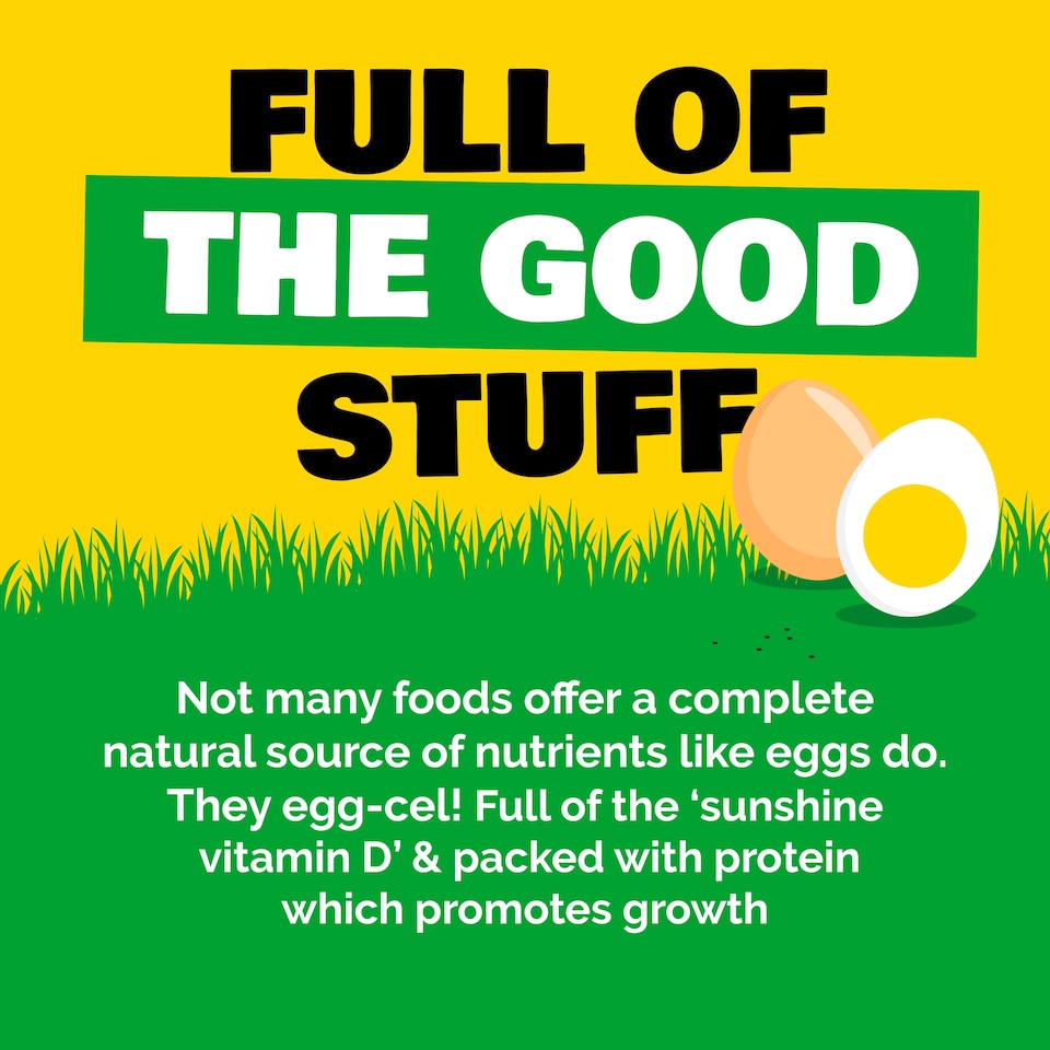 image 1 of Big & Free Large White Free Range Eggs 10 Pack