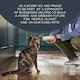 image 5 of Encore Cat Food Mixed Selection Tins 12X70g