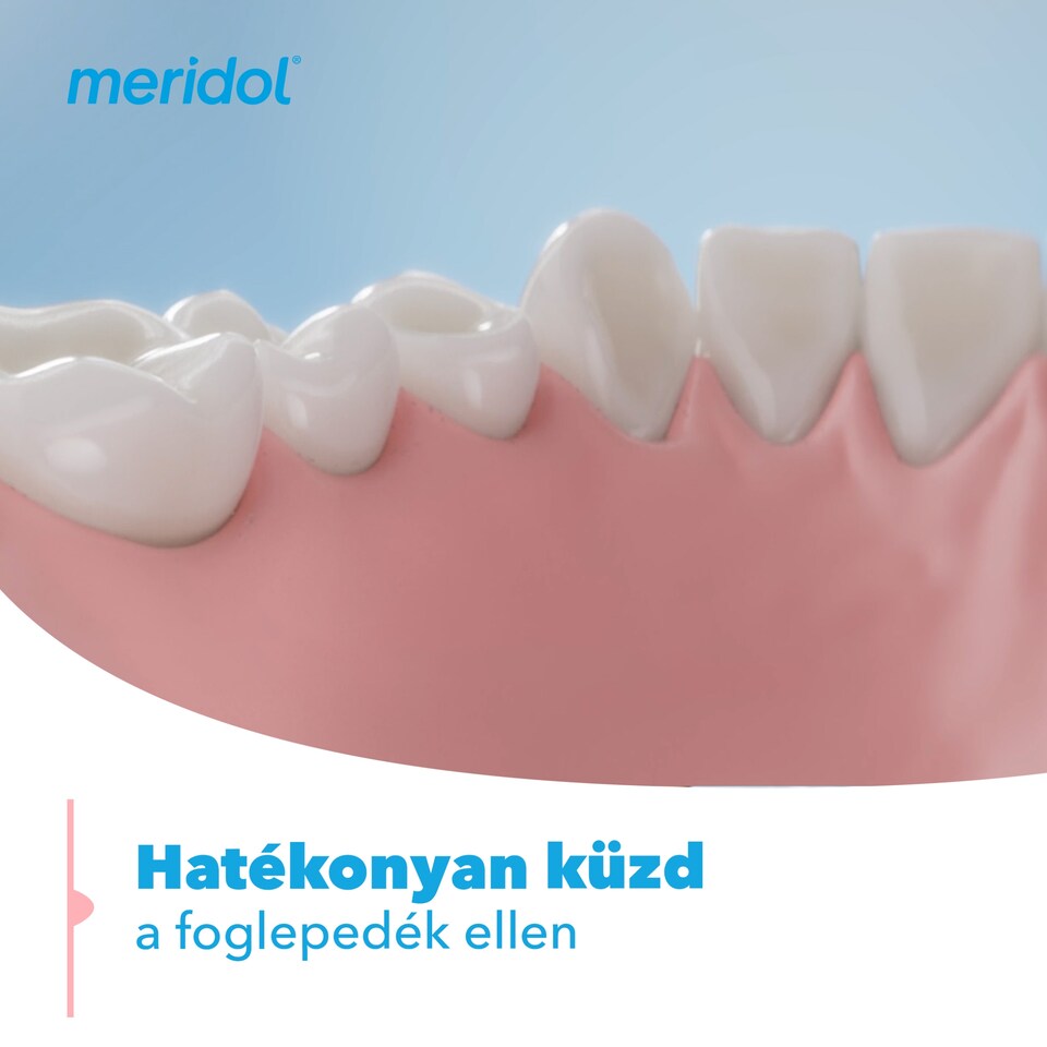 meridol Gum Protection + Sensitive fogkrém érzékeny fogíny és fogak védelmére 75 ml  1. kép