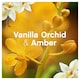 image 4 of Lenor Fabric Conditioner Gold Orchid 42 Washes 1.386Ltr