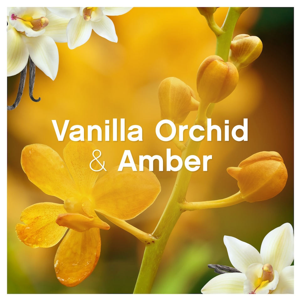 image 1 of Lenor Fabric Conditioner Gold Orchid 42 Washes 1.386Ltr