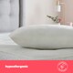 image 5 of Silent Night Super Squishy Pillow