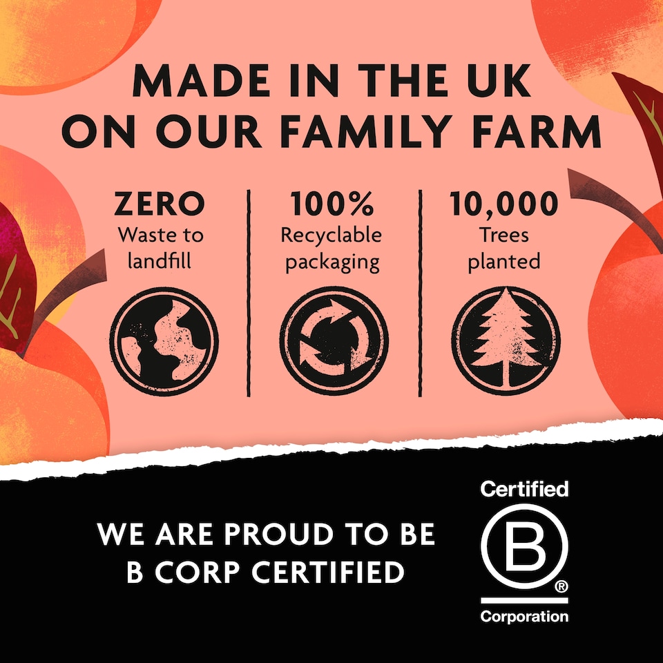 image 1 of Belvoir Farm Non-Alcoholic Peach Bellini 250ml