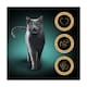 image 2 of Sheba Sauce Lover Wet Cat Food Trays Mixed in Gravy 8x85g